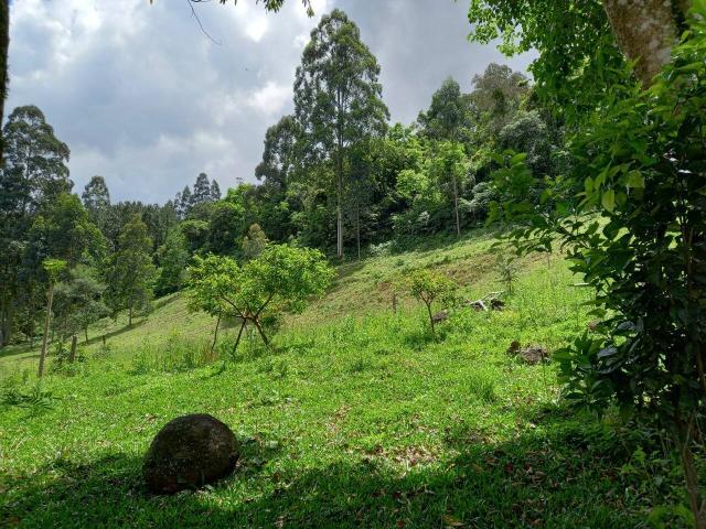 Casa e Sobrado para Venda em Nova Petrópolis - 5