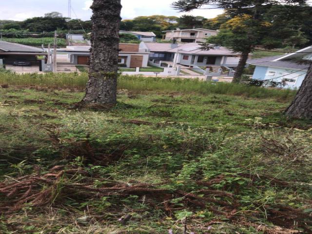 Terreno para Venda em Nova Petrópolis - 5