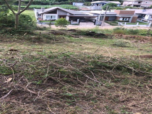 #1225 - Terreno para Venda em Nova Petrópolis - RS - 3