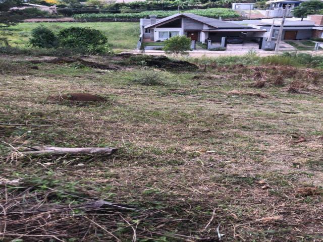 Terreno para Venda em Nova Petrópolis - 4
