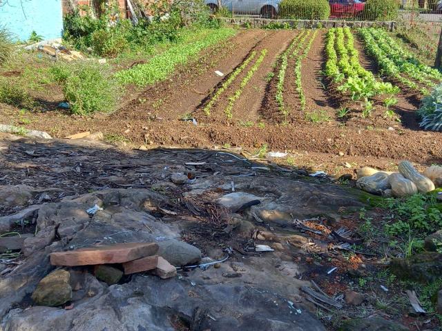 #1232 - Terreno para Venda em Nova Petrópolis - RS