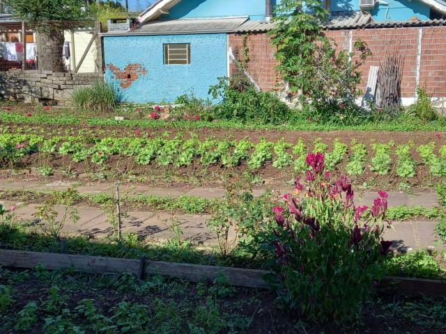 Terreno para Venda em Nova Petrópolis - 4