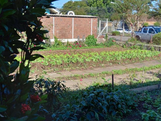 Terreno para Venda em Nova Petrópolis - 5