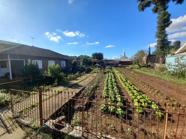 #1232 - Terreno para Venda em Nova Petrópolis - RS