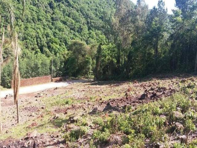 Sítio e Chácara para Venda em Nova Petrópolis - 4