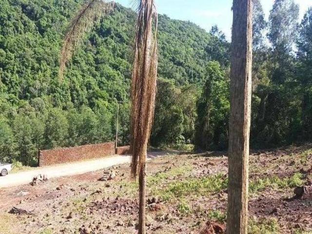 Sítio e Chácara para Venda em Nova Petrópolis - 5